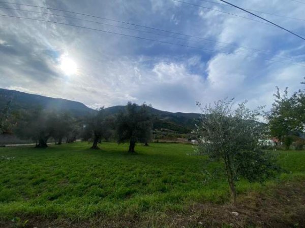 Shitet toke ne Berzhite Prane Resortit Palma Nova