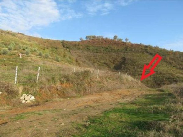 Tirane, Kashar Shitet Toke Are 1.000 m², Cmimi Referues 2.000.000 Leke