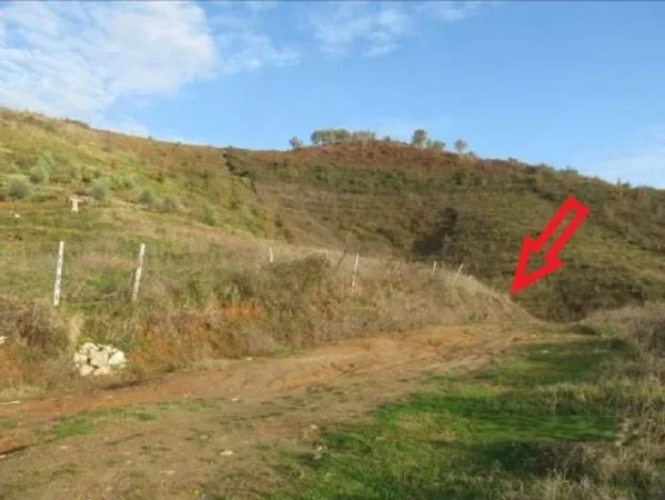 Tirane, Kashar Shitet Toke Are 1.000 m², Cmimi Referues 2.000.000 Leke