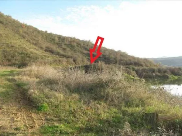 Tirane, Kashar Shitet Toke Are 1.000 m², Cmimi Referues 2.000.000 Leke