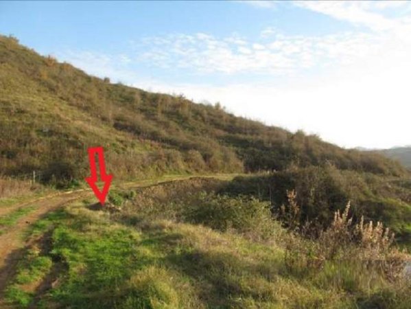 Tirane, Kashar Shitet Toke Are 1.000 m², Cmimi Referues 2.000.000 Leke