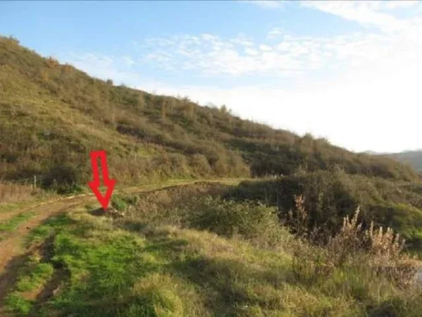 Tirane, Kashar Shitet Toke Are 1.000 m², Cmimi Referues 2.000.000 Leke