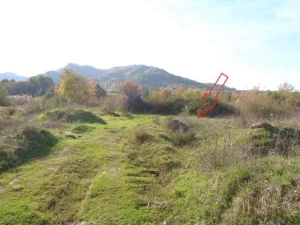 Tirane, Picalle Shitet Toke Are 3.000 m², Cmimi Fillestar 9.600.000 Leke