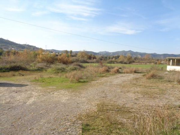 Tirane, Picalle Shitet Toke Are 3.000 m², Cmimi Fillestar 9.600.000 Leke