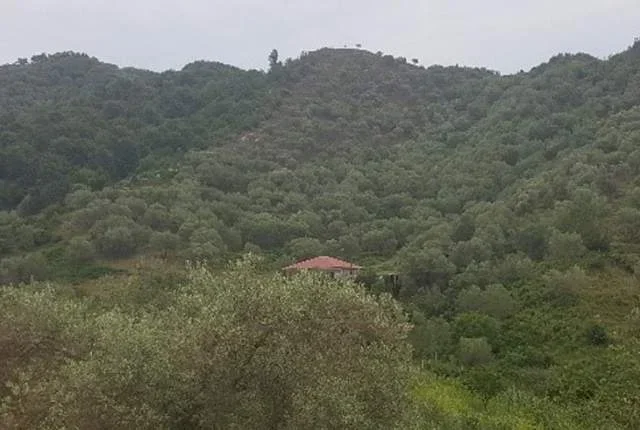 Tirane, Marikaj Shiten 2 Ullishte me siperfaqe totale 16.200 m², Cmimi Fillestar 39.680.000 Leke