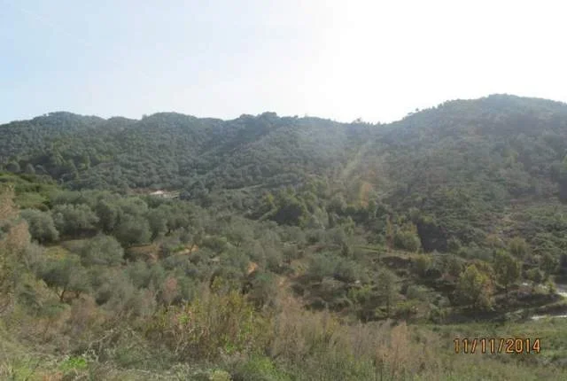 Tirane, Marikaj Shiten 2 Ullishte me siperfaqe totale 16.200 m², Cmimi Fillestar 39.680.000 Leke