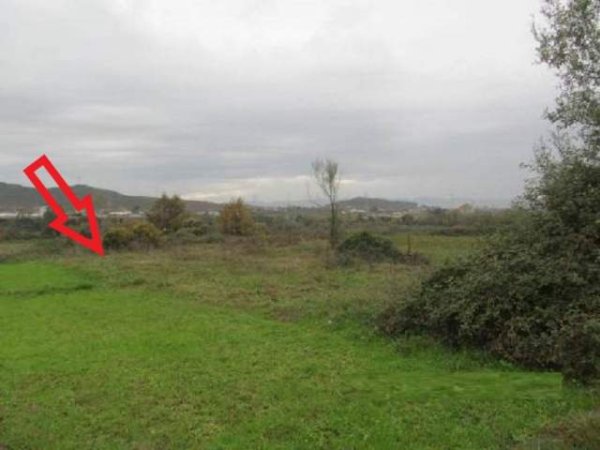 Kruje, Shitet Toke Are 1.000 m², Cmimi Referues 810.000 Leke (Verjon)