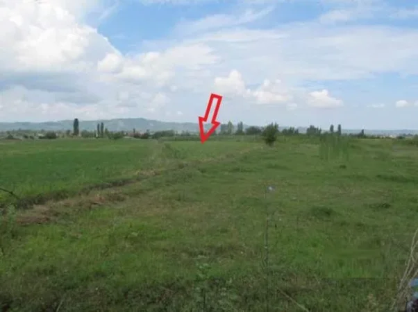 Kruje, Shitet Toke Are 25,200 m², Cmimi Fillestar 17,740,800 Leke (Nikel, Kruje)