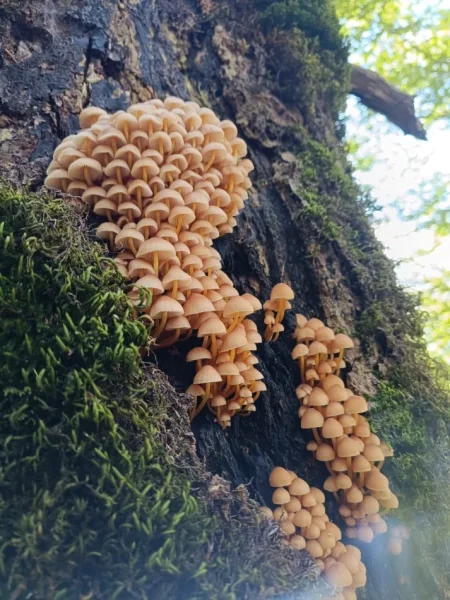 Séjour en Albanie.Albanie authentique !