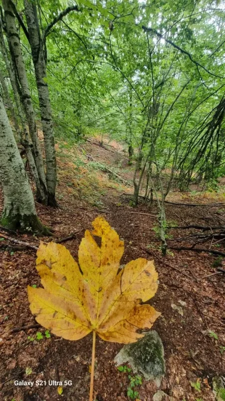 Séjour en Albanie.Albanie authentique !