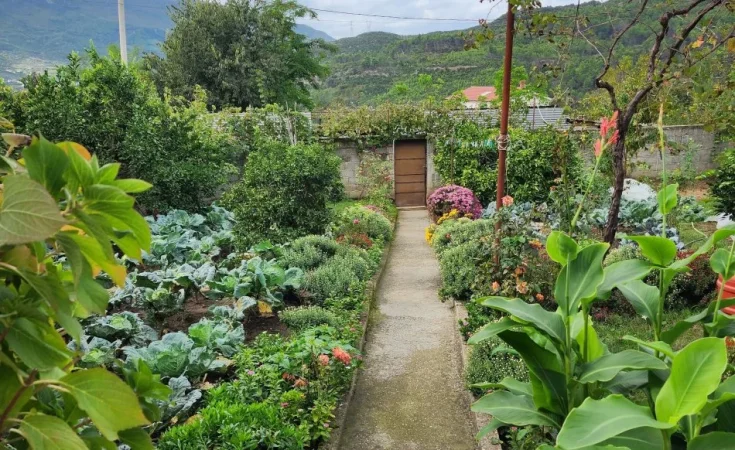 SHITET: VILE + Truall E Veçantë 📍 Ibë Të Poshtme 3+1+2wc ( 18 Min Nga Qendra Tiranës) -- 113,500€****