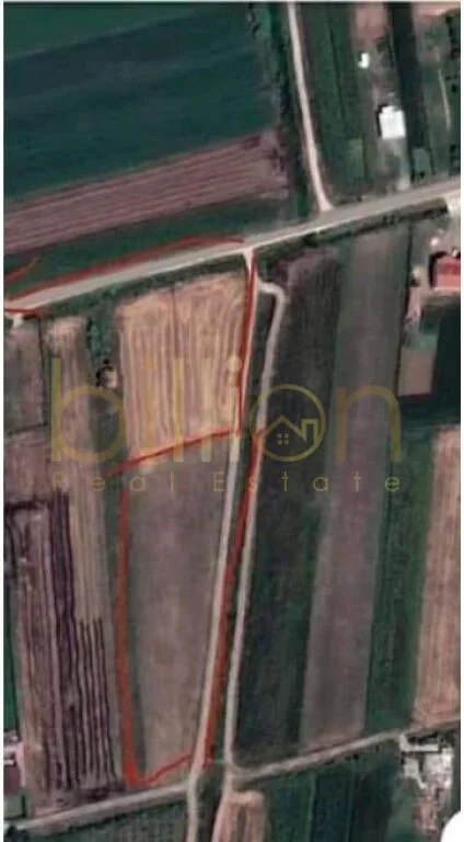 Lezhe, shitet toke , 4.568 m² 54.900 € (Lezhë, Albania)