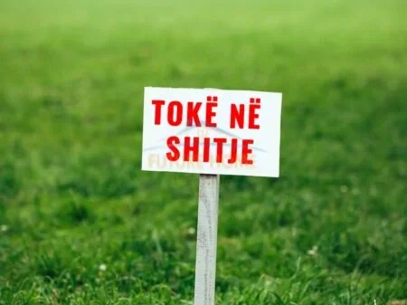 Lushnje, shitet toke , 12.661 m² 127.000 € (Dushk i Madh, Lushnje AREA45496)