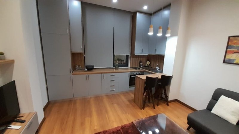 Tirane, Apartament 1+1 per qira  Kati 1, 74 m² 590 € (9 kateshet)