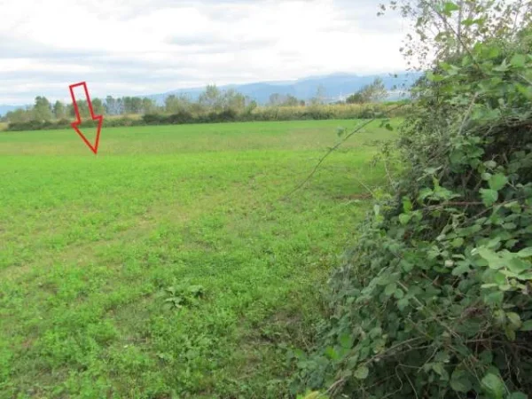 Kruje, Shitet Toke Are 3.400 m², Cmimi Fillestar 780,800 Leke