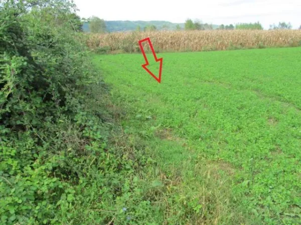 Kruje, Shitet Toke Are 3.400 m², Cmimi Fillestar 780,800 Leke