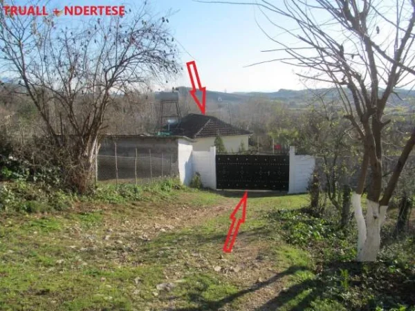 Shitet Toke Are 3,500 m², Truall 250 m² + Ndertese 45 m², Cmimi Fillestar 2,736,000 Lekë, Borizan, Kruje
