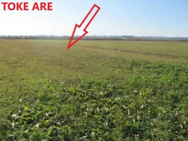 Shitet Toke Are 3,500 m², Truall 250 m² + Ndertese 45 m², Cmimi Fillestar 2,736,000 Lekë, Borizan, Kruje