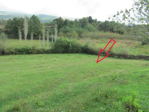 Fushe Kruje, Shitet Toke Are 3.750 m², Cmimi Fillestar 1.728.000 Leke