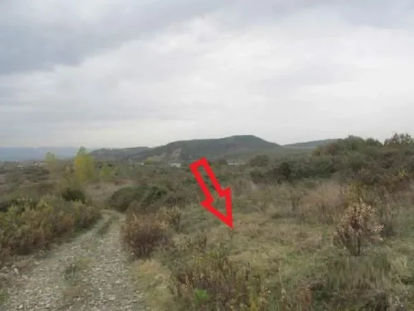 Kruje, Shitet Tokë Arë 4,700 m², Cmimi Fillestar 1,944,000 Leke (Verjon)