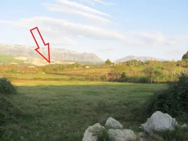 Fushe Kruje, Shiten Ullishte, Truall + Ndertese, Cmimi Fillestar 2,812,000 Lekë & Toke Are, Cmimi Fillestar 4,896,000 Lekë