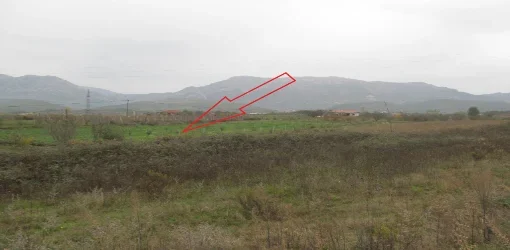 Kruje, Shitet Toke Are me siperfaqe 8,400 m², Cmimi Fillestar 6,048,000 Leke (Verjon)