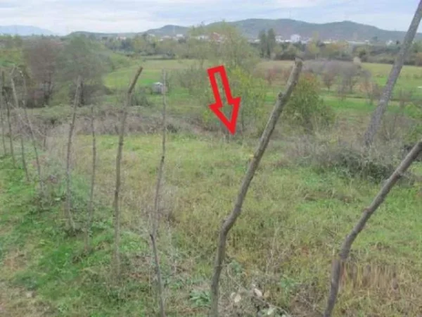 Kruje, Shitet Toke Are 900 m², Cmimi Fillestar 648,000 Leke (Verjon)