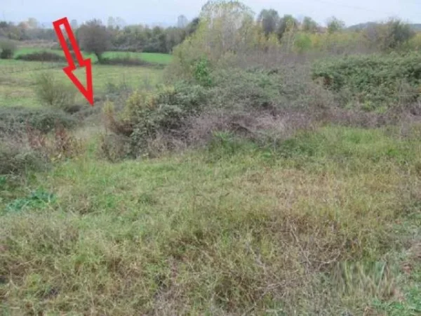 Kruje, Shitet Toke Are 900 m², Cmimi Fillestar 648,000 Leke (Verjon)