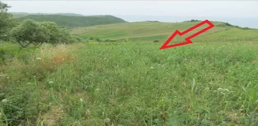 Durres, Drac Shitet Toke Are me siperfaqe 14,639 m², Cmimi Fillestar 30,000,000 Leke "Kepi i Rodonit"