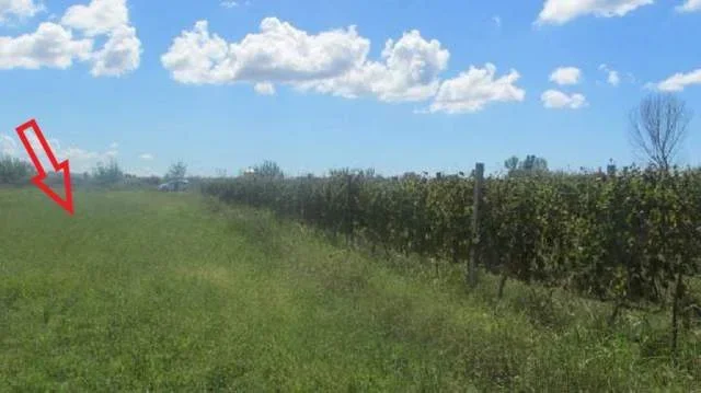 Durres, Vadardhe Shitet Toke Are 3.996 m², Cmimi Fillestar 5.312.000 Leke