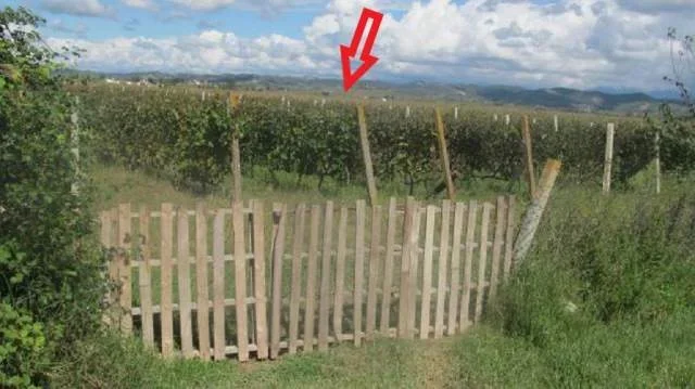 Durres, Vadardhe Shitet Toke Are 3.996 m², Cmimi Fillestar 5.312.000 Leke