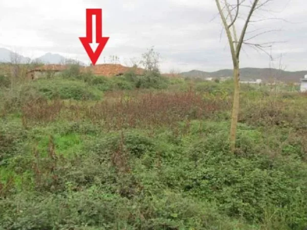 Kruje, Shitet Toke Are 4,737,600 Leke dhe Ullishte + Truall + Ndertese 1,641,600 Leke, (Verjon)