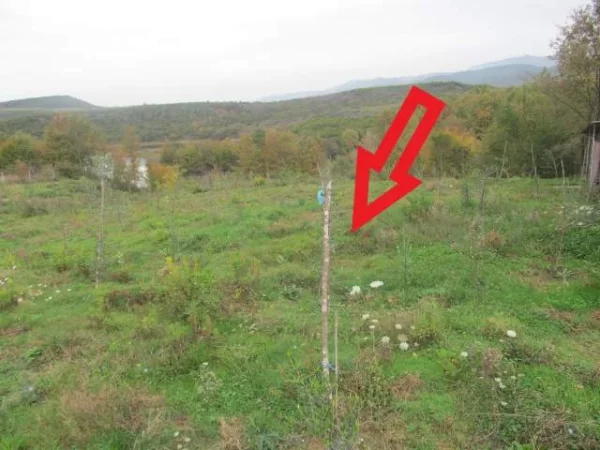 Kruje, Shitet Toke Are 4,737,600 Leke dhe Ullishte + Truall + Ndertese 1,641,600 Leke, (Verjon)