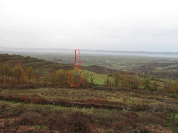 Kruje, Shitet Toke Are 5.000 m², Cmimi Fillestar 3,096,000 Leke (Koder-Thumane)