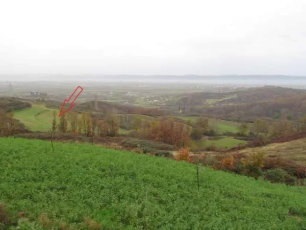 Kruje, Shitet Toke Are 5.000 m², Cmimi Fillestar 3,096,000 Leke (Koder-Thumane)