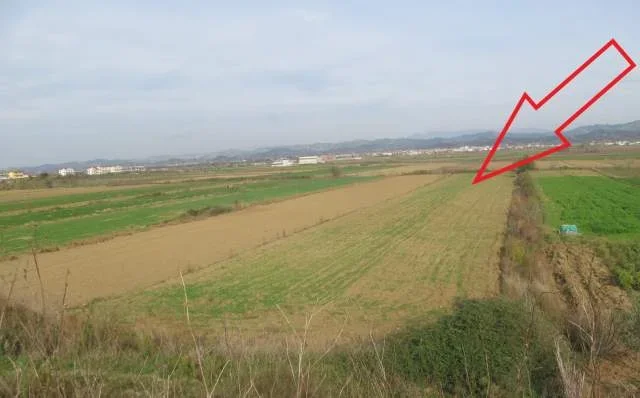 Kavaje, Luz i Vogel Shitet Toke Are 10.246 m², Cmimi Fillestar 4.590.208 Leke