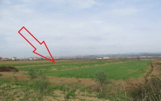 Kavaje, Luz i Vogel Shitet Toke Are 10.246 m², Cmimi Fillestar 4.590.208 Leke