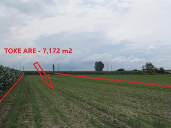 Kruje, Shiten 2 Toka Are me siperfaqe 7,172 m² & 2,249 m², (Larushk)