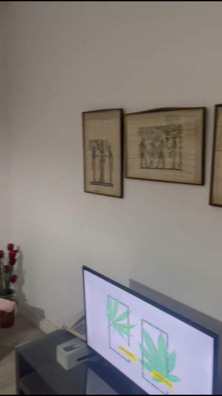 Tirane, jepet me qera apartament 1+1 Kati 2, 50 m² 30.000 Leke (Pediatria)