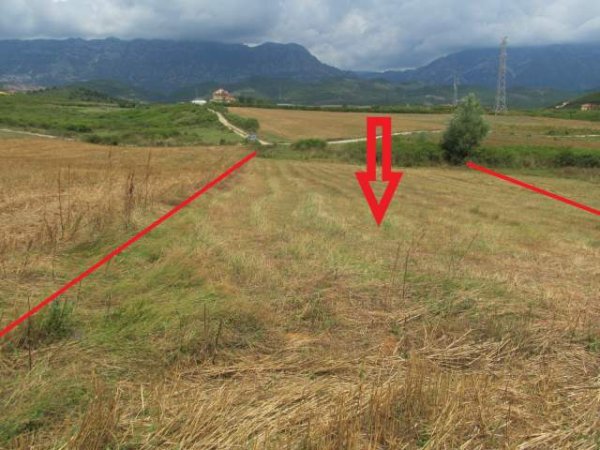 Kruje, shitet Toke Are 9.750 m² 331.200 Leke (Halil)