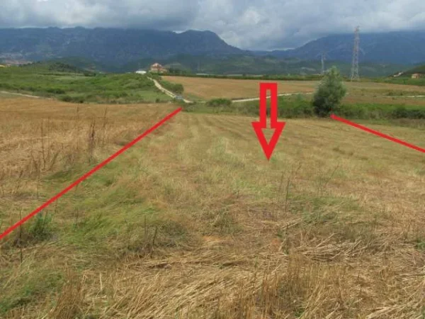 Kruje, Shitet Toke Are me siperfaqe 9.750 m², Cmimi Referues 3,000,000 Leke (Halil)