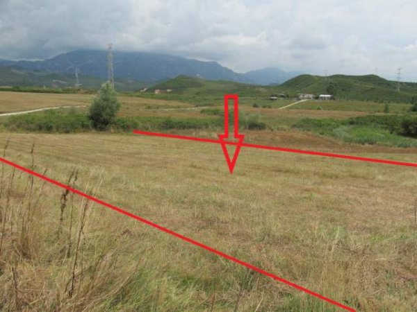 Kruje, shitet Toke Are 9.750 m² 331.200 Leke (Halil)