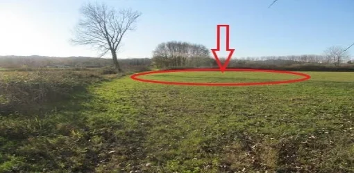 Kruje, Shitet Pemtore 1.950 m², Cmimi Fillestar 5,401,469 Leke (Larushk)