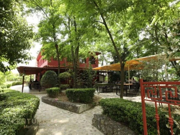 Tirane, shitet bar-resorant Kati 0, 384 m² 400.000 € (PEZE E VOGEL)
