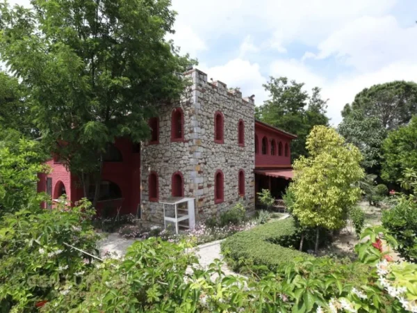 Tirane, shitet bar-resorant Kati 0, 384 m² 400.000 € (PEZE E VOGEL)