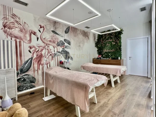 Tirane, shitet ambjent biznesi Kati 2, 221 m² (ish bllok)