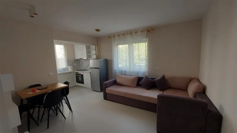 Tirane, jepet me qera apartament 2+1+Ballkon Kati 1, 65 m² 600 € (Vasil Shanto prane shkolles “Vasil Shanto”)