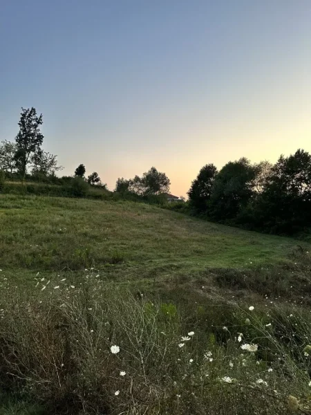 Tirane, shitet toke , 8.100 m² 202.500 € (Zall herr)