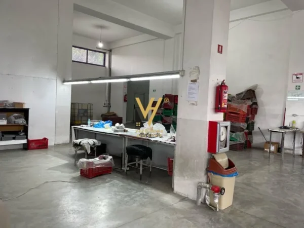 Fier, shitet ambjent biznesi Kati 0, 6.310 m² 3.000.000 € (FIER)