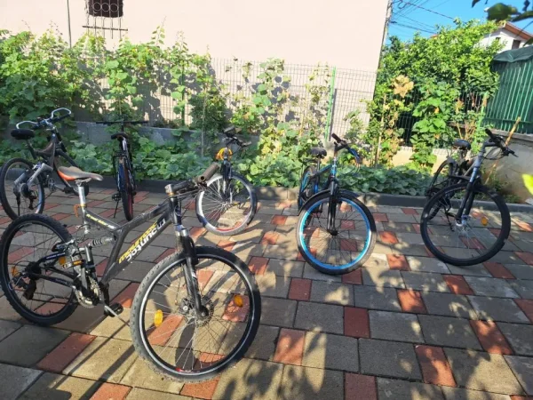 Tirane, shes biciklete Shitet biciklete 28-teshe 180 eur Mckenzie Hill 800 Mountainbike e zeze 180 €